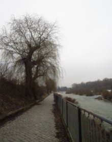 Peaceful walk next to the river...